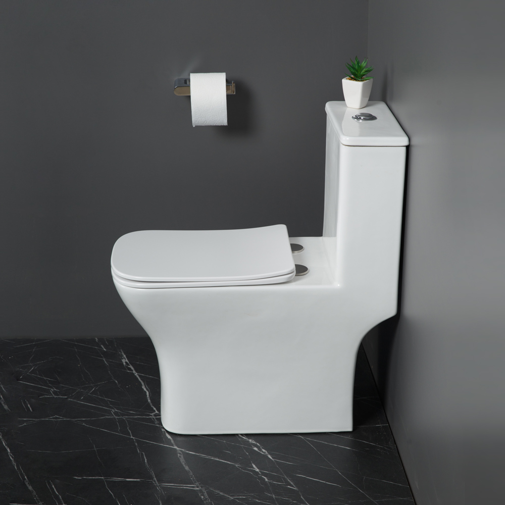 Унитаз-моноблок безободковый с сиденьем BelBagno NEON BB8617CPR-MN/SC